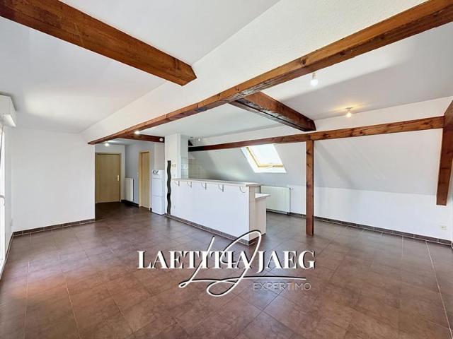 Appartement vente à Strasbourg, Eschau