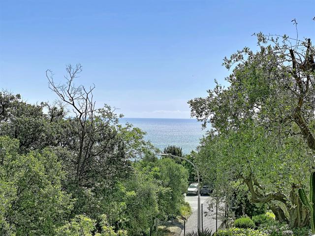 Appartement vente à Nice