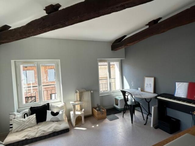 Appartement location à Albi