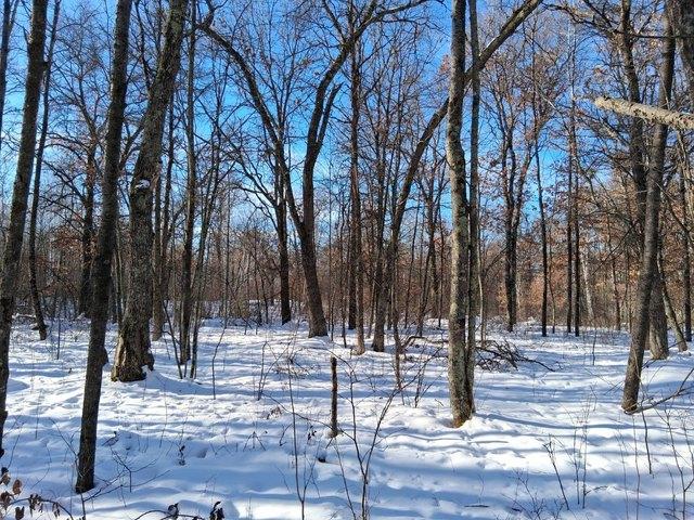 Land for sale in Trego, Wisconsin