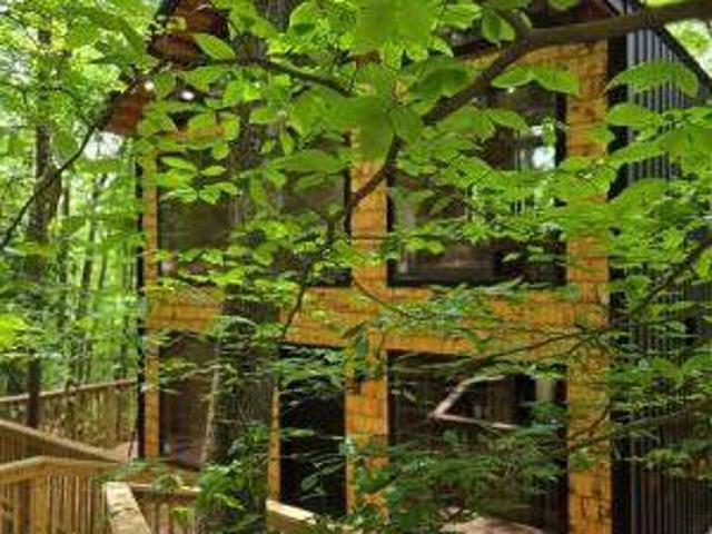House for sale in Wolfe, Kentucky