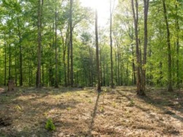 Land for sale in Tennessee