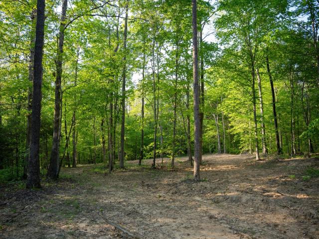 Land for sale in Tennessee