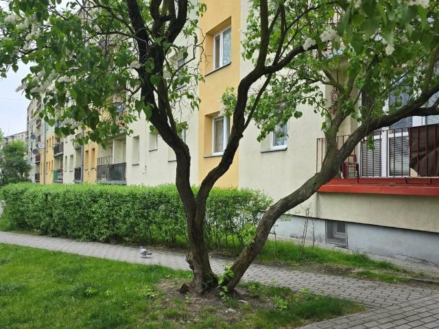Mieszkanie na sprzedaż w Zduńska Wola, Łódzkie