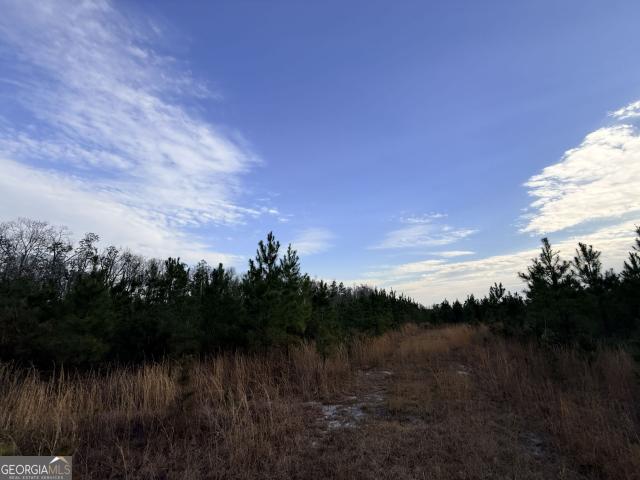 Land for sale in Lumber City, Georgia