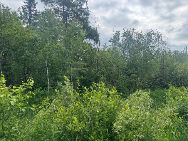 Land for sale in Minnesota