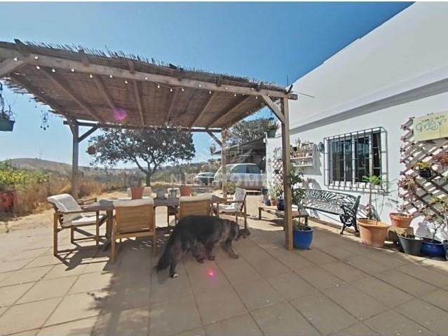 Casa venda em Almodôvar, Beja