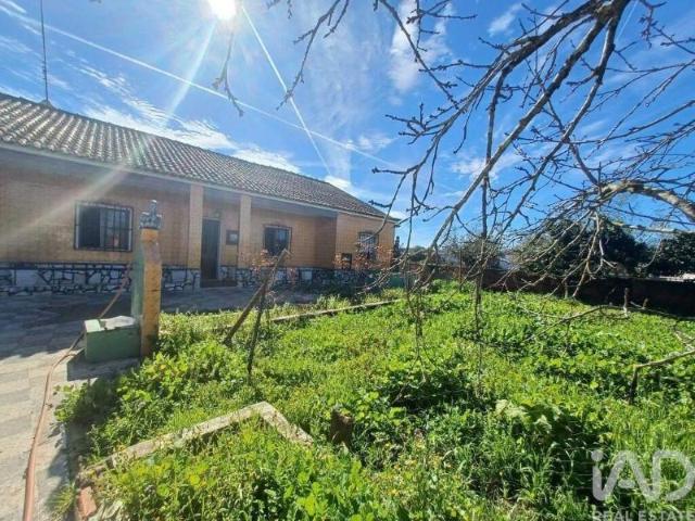 Casa venda em Borba, Évora