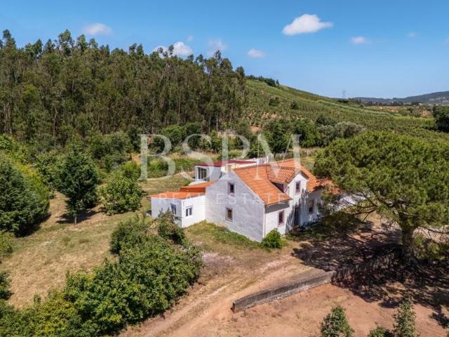 Casa venda em A-dos-Francos, Caldas Da Rainha