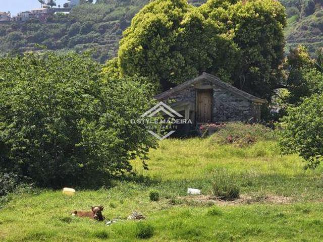 Moradia venda em Calheta