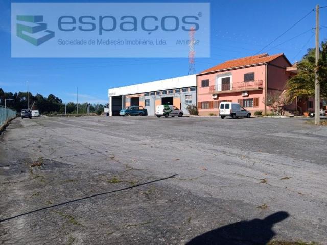 Casa venda em Castelo Branco