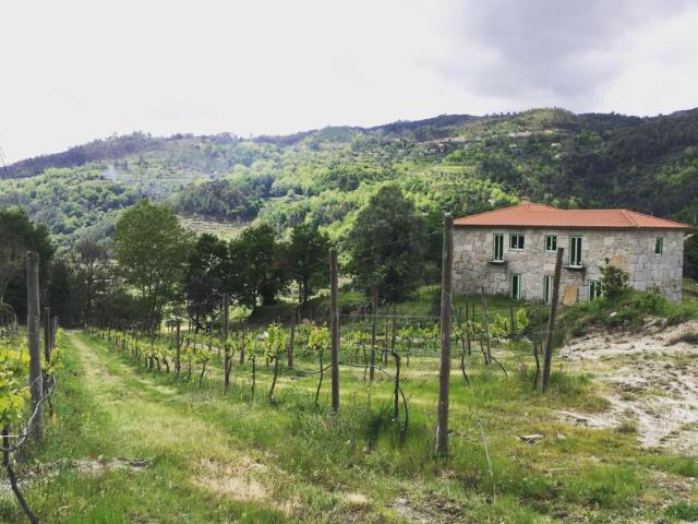 Casa alugar em Celorico De Basto, Braga