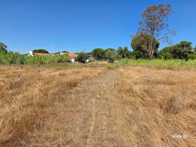 Casa venda em Coruche, Santarém