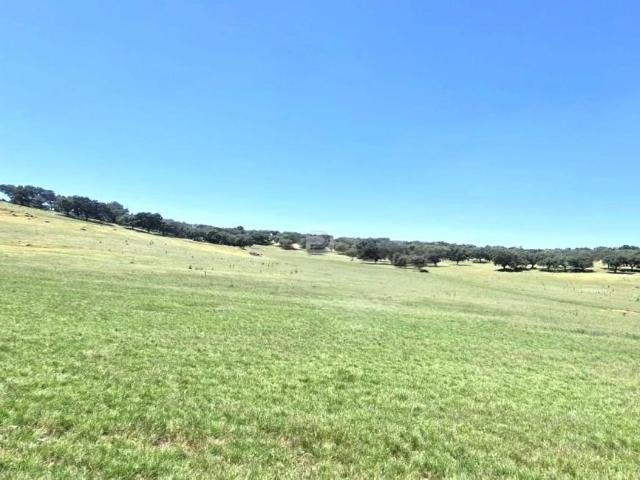 Terreno venda em Elvas, Portalegre