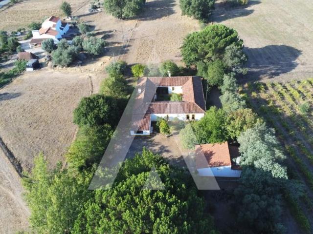 Terreno venda em Évora