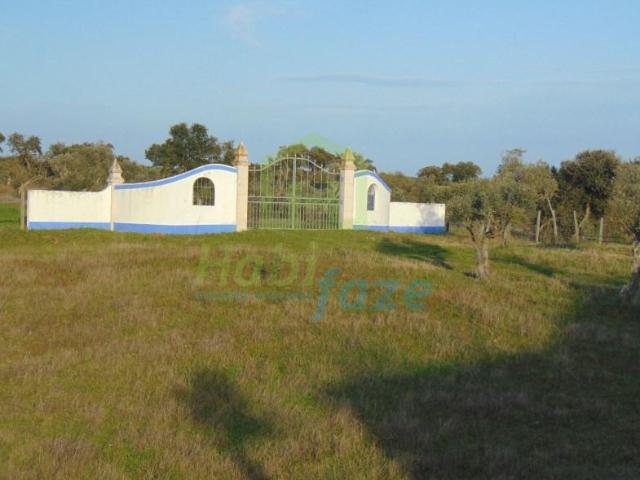 Terreno venda em Évora