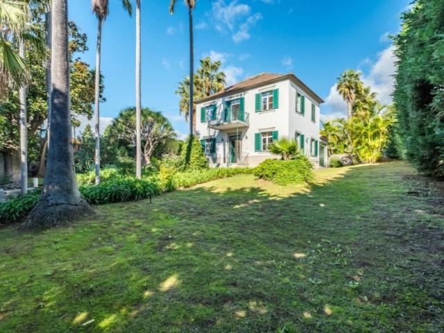Terreno venda em Funchal, Ilha Da Madeira