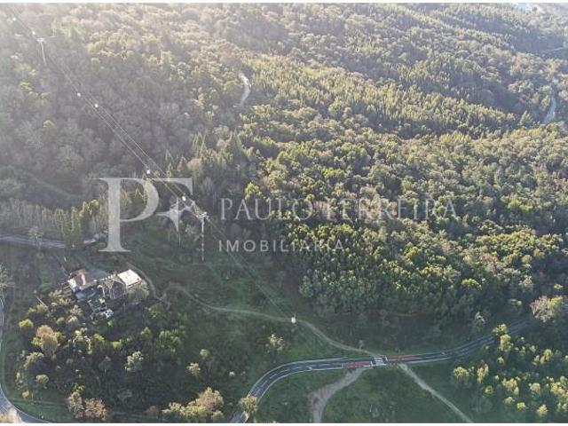 Terreno venda em Guimarães, Braga