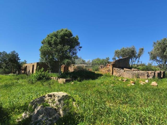 Terreno venda em Lagos, Faro