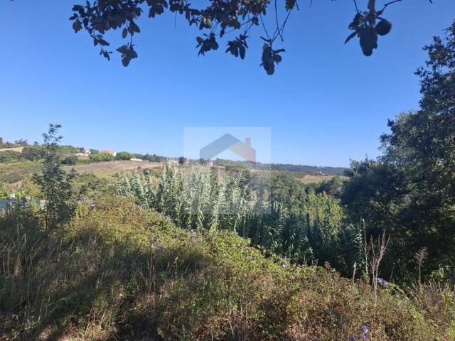 Casa venda em Caldas Da Rainha, Leiria