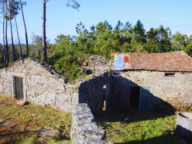 Casa venda em Mourilhe, Viseu