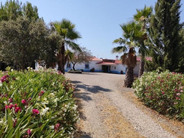 Casa venda em Serpa (Salvador e Santa Maria), Serpa