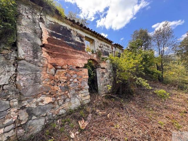 Terreno venda em Monchique, Faro