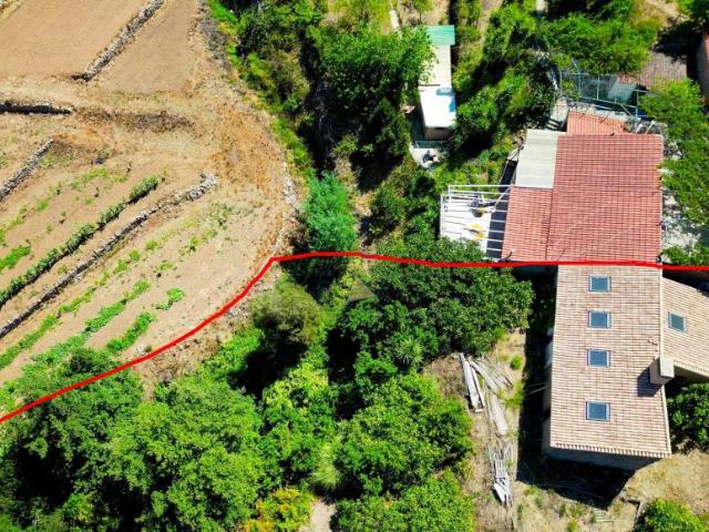 Terreno venda em Monchique, Faro