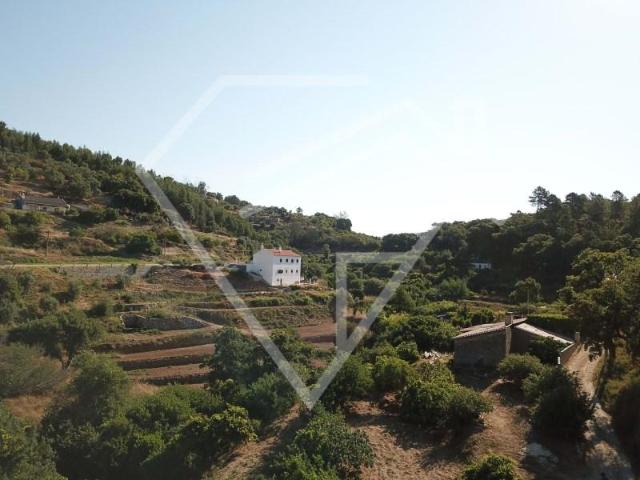 Terreno venda em Monchique, Faro