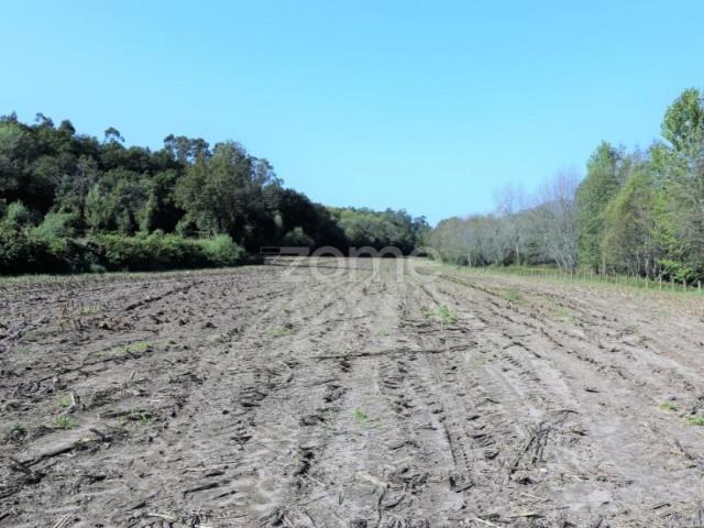 Terreno venda em Grovelas São João Evangelista, Viana Do Castelo