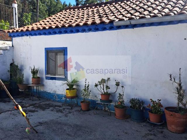 Casa venda em Tom, Ponte De Sor