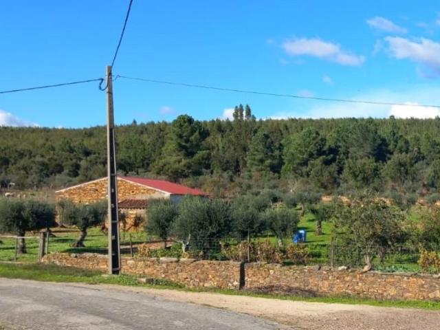 Terreno venda em Portalegre