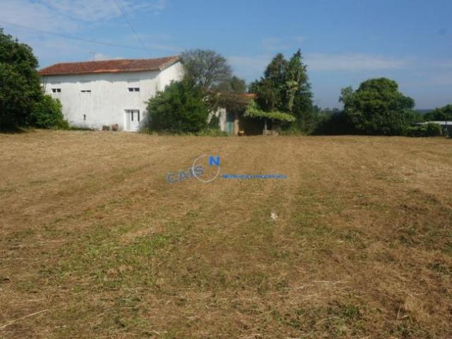 Casa venda em Gandra de Moreira, Bitarães