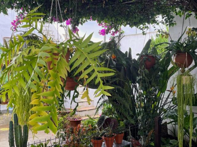 Casa alugar em Palmela, Setúbal