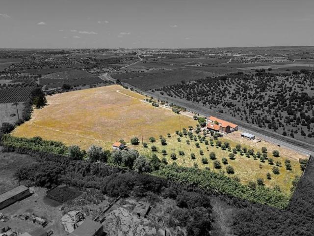 Terreno venda em Reguengos De Monsaraz, Évora