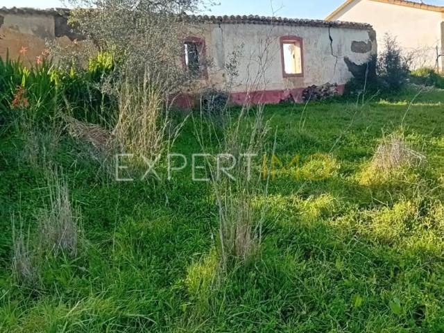 Terreno venda em São Bartolomeu De Messines, Faro
