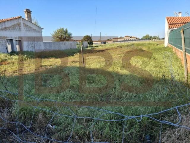Casa venda em Salvaterra De Magos, Santarém