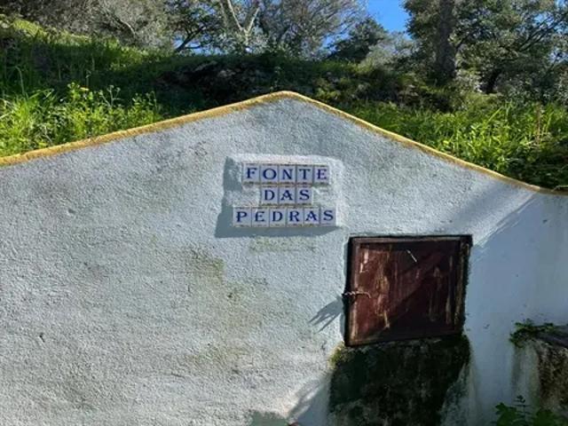 Casa venda em Santarém