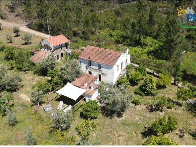Terreno venda em Castelo Branco, Cumeada