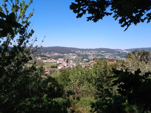 Terreno venda em Sever Do Vouga, Aveiro