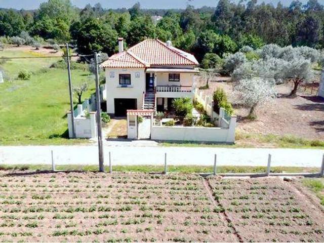 Casa venda em Tabua, Mouronho