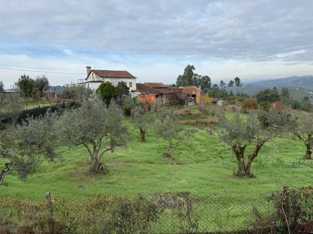 Casa venda em Sevilha, Tábua
