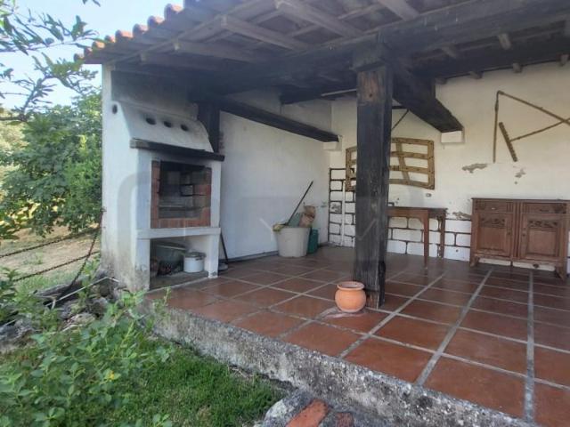 Casa venda em Tomar, Santarém