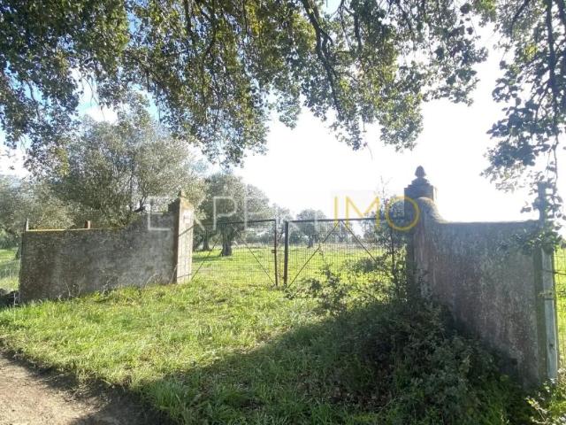Terreno venda em Santarém