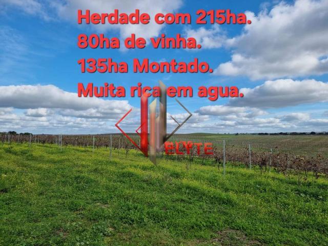 Terreno venda em Vendas Novas, Évora