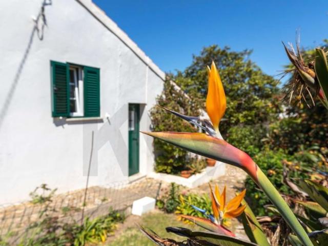Moradia venda em Vila Do Bispo