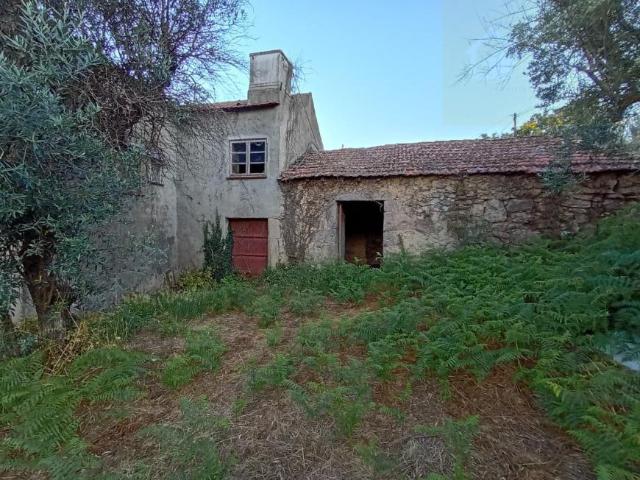 Casa venda em Mourilhe, Viseu