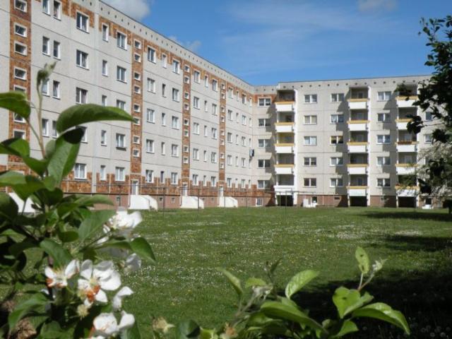 Apartment mieten in Stralsund, Mecklenburg-Vorpommern