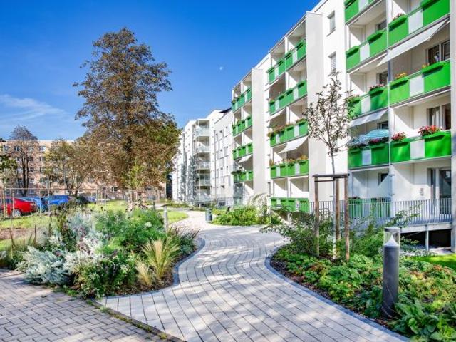 Wohnung mieten in Kappel, Chemnitz