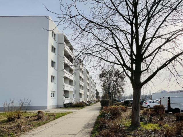 Apartment mieten in Silberhöhe, Halle